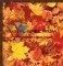 LEAFAU Autumn Leaves Orajet Matte Sheet