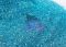 Neptune - Ultra Fine Glitter
